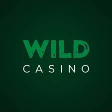 Wild Joker Gambling Establishment Review